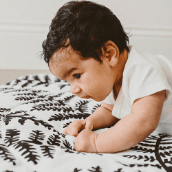 Image showing the Plant Reversible Sensory Playmat, Multi product.