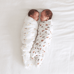 Image showing the Pack of 2 Cotton Swaddles, Hen & Chicks product.