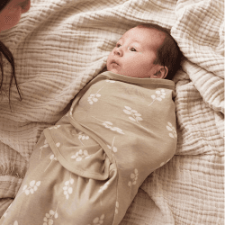 Image showing the Twig Swaddle Wrap, 0 - 3 Months, Olive Green product.
