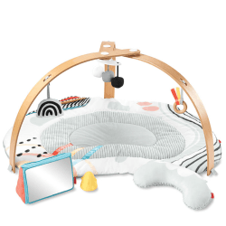 Image showing the Baby Play Gym, Discoverosity product.
