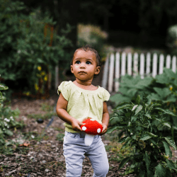 Image showing the Friendly Toadstool Rattle, Red product.