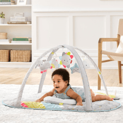 Image showing the Baby Activity Gym, Silver Lining Cloud product.