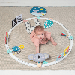 Image showing the Kimmy Koala All Around Me Activity Hoop product.