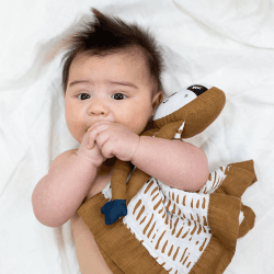 Image showing the Sloth Cotton Muslin Lovie product.