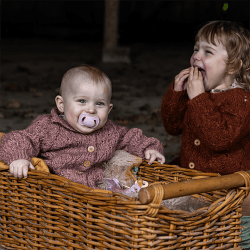 Image showing the Pack of 2 Orthodontic Silicone Dummies, 0 - 6 Months, Rose Quartz & Elderberry product.