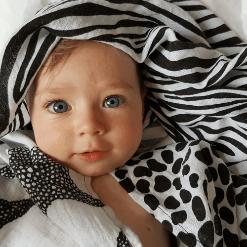 etta-loves-3