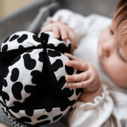 Image showing the Sensory Grasp Ball, Black & White product.
