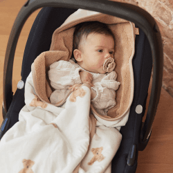 Image showing the Wrap Blanket, Teddy Bear product.