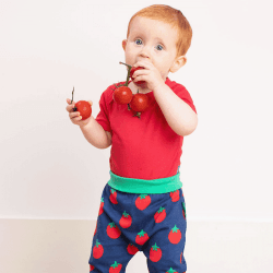 Image showing the Basic Organic Cotton Short Sleeved Bodysuit, 0 - 3 Months, Red product.