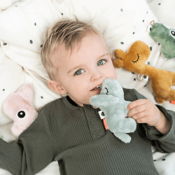 Image showing the Raffi Tiny Sensory Rattle, Mustard product.