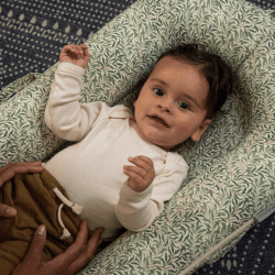Image showing the Deluxe+ Dock Printed Baby Nest, Willow Boughs product.
