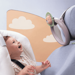 Image showing the Savannah Car Mirror product.