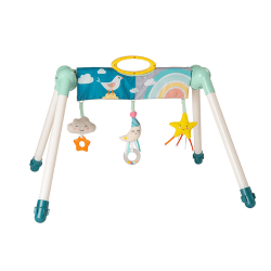 Image showing the Mini Moon Take to Play Baby Gym Arch, Multi product.