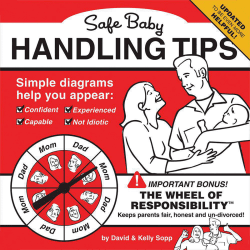 Image showing the Safe Baby Handling Tips product.
