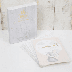 Image showing the Disney Dumbo Milestone Cards product.