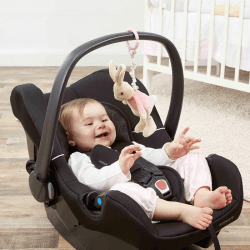 Image showing the Peter Rabbit Flopsy Jiggle Attachable Toy, Multi product.