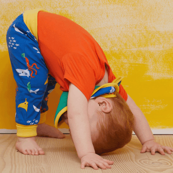Image showing the Basic Organic Cotton Short Sleeved Bodysuit, 3 - 6 Months, Orange product.