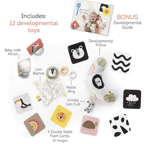 taf-toys-7