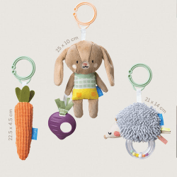 Image showing the Activity Toys Gift Set product.