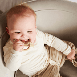 Image showing the Animal Teething Toy, Gigi Giraffe product.