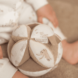 Image showing the Baby Bunny Gripping Ball product.