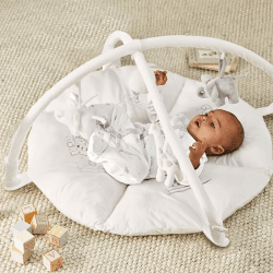 Image showing the Noahs Ark Activity Gym, White product.