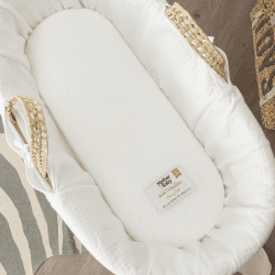 Image showing the Anti Allergy Foam Moses Basket Mattress, Gold product.