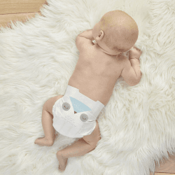 Image showing the 1 Month Bundle of Eco-Friendly Disposable Nappies, Size 1 product.