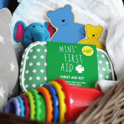 Image showing the Mini First Aid Kit (74 Pieces) product.