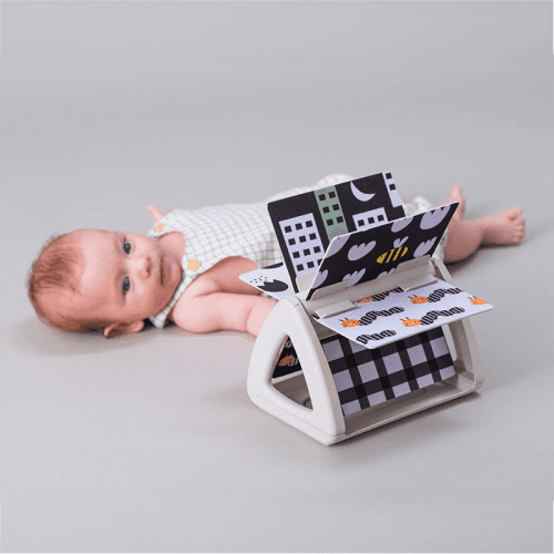 taf-toys-6