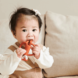 Image showing the Animal Teething Toy, Fudge Fox product.