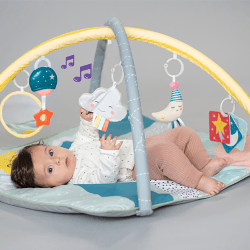 Image showing the Magical Mini Moon Gym product.