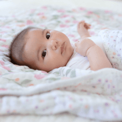 Image showing the Boutique Dream Blanket Cotton Muslin Blanket, 120 x 120cm, Ma Fleur product.