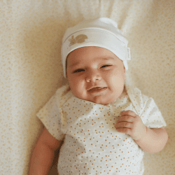 Image showing the Printed Jersey Bodysuit, 0 - 3 Months, Daisy Meadow product.