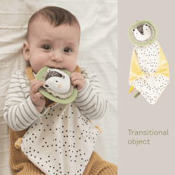 Image showing the Savannah Adventures 7 Piece Newborn Play & Develop Set, Multi product.