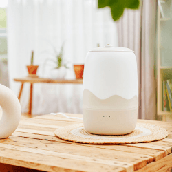 Image showing the Wave Humidifier product.