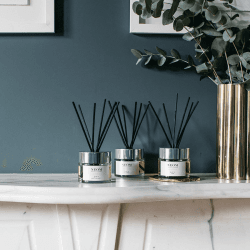 Image showing the Scent to Boost Your Energy Reed Diffuser Feel Refreshed, 100ml, White product.
