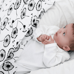 Image showing the Dandelion XL Sensory Organic Cotton Muslin Square, 120 x 120cm, Black & White product.