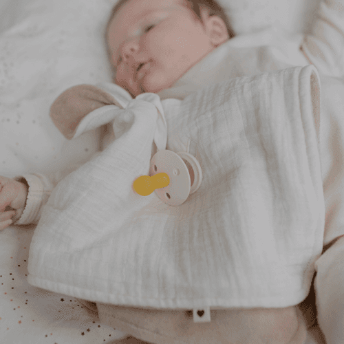 bibs-3