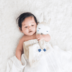 Image showing the Llama Cotton Muslin Lovie product.