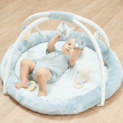 Image showing the Romeo, Jules & Sally Baby Gym, Blue product.