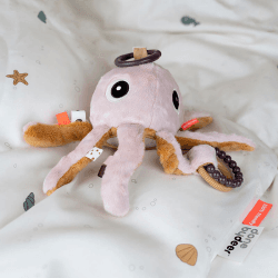 Image showing the Jelly Activity Toy, Powder product.