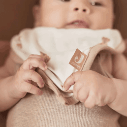 Image showing the Pack of 2 Bandana Bibs, Teddy Bear product.