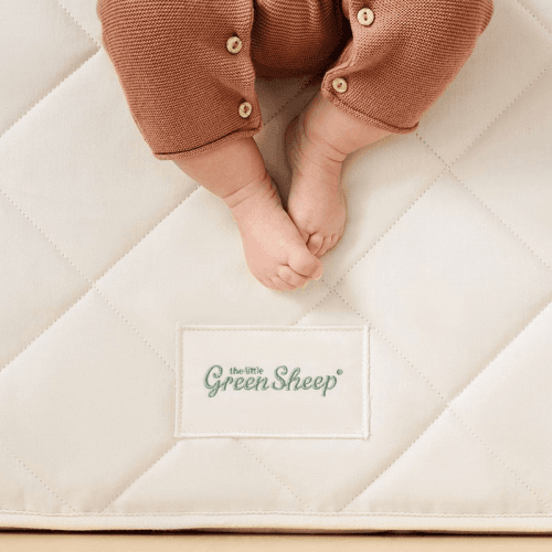 the-little-green-sheep-5