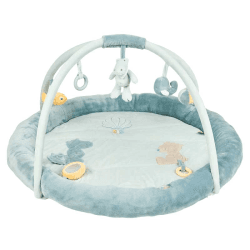 Image showing the Romeo, Jules & Sally Baby Gym, Blue product.