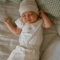 Image showing the Bunny Embroidered Jersey Bodysuit, 3 - 6 Months product.