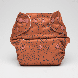 Image showing the Baby Bear Reusable Nappy, Brown product.