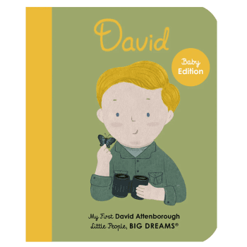 Image showing the Little People, Big Dreams David My First, Green product.