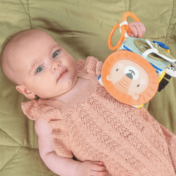 Image showing the Savannah Adventures Activity Toy, Multi product.