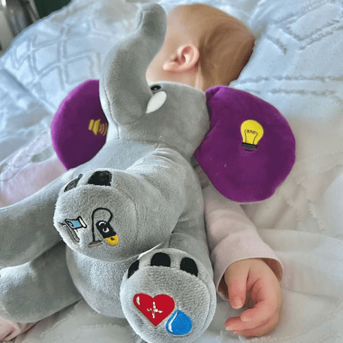 the-dreamy-elephant-company-6